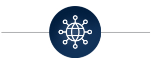 globe icon