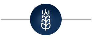 Agricultural icon