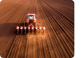 Tractor in the field